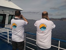 Técnicos avistan cetáceos en el Mediterráneo