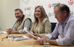 Campeonato de Galgos