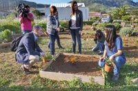 Clavijo destaca la labor de Funcasor para alcanzar la "plena igualdad"
