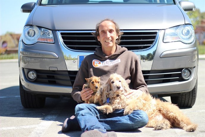 Cómo viajar en coche con un perro de forma segura 