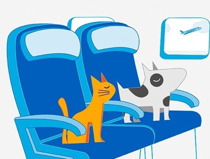 Amadeus plataforma mascotas