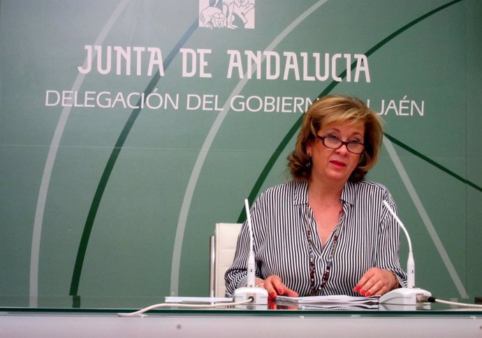 La delegad Teresa Vega en la rueda de prensa.     