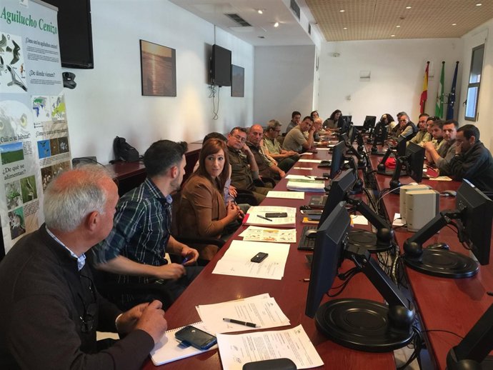 Inicio de la campaña de salvamento del aguilucho cenizo. 