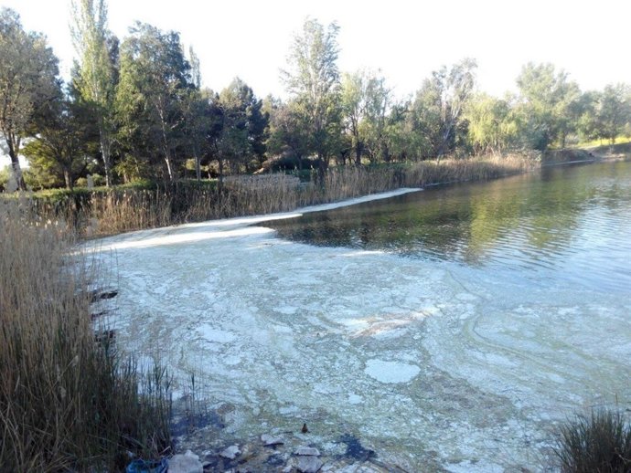 Vertido lácteo en la laguna