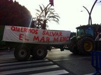 Llamada de socorro de los agricultores murcianos, que advierten de la pérdida de más del 50% del arbolado de Cartagena