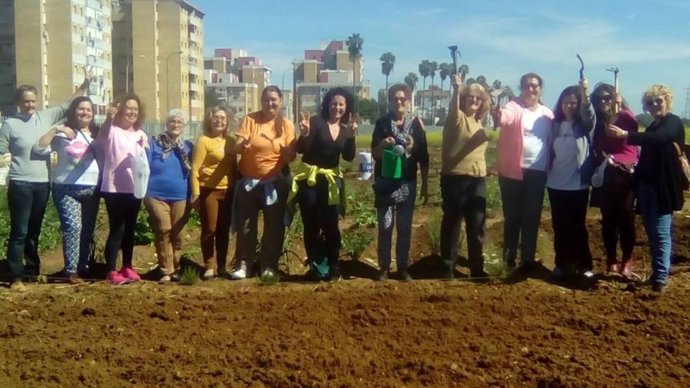 Distrito Sevilla organiza salidas a huertos urbanos por el Día Mundial Salud