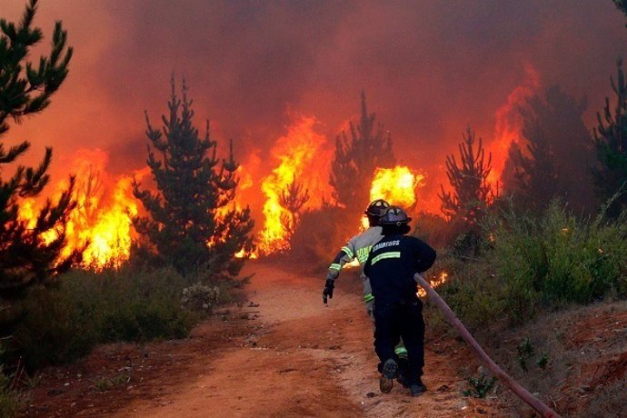 Incendio bosque