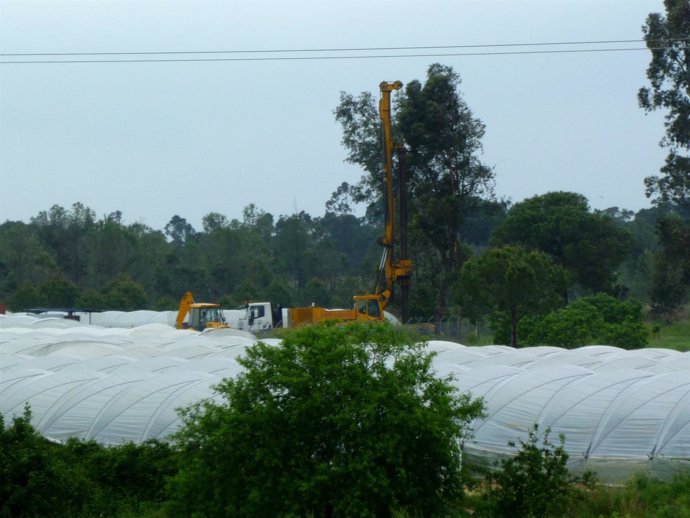 Construcción De Un Pozo Ilegal En El Entorno De Doñana