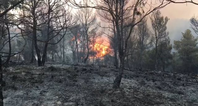 Incendio Villalpardo