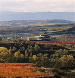 Bodegas Vivanco en otoño