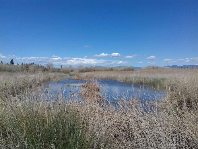 Laguna donde se denunciaron a los pescadores