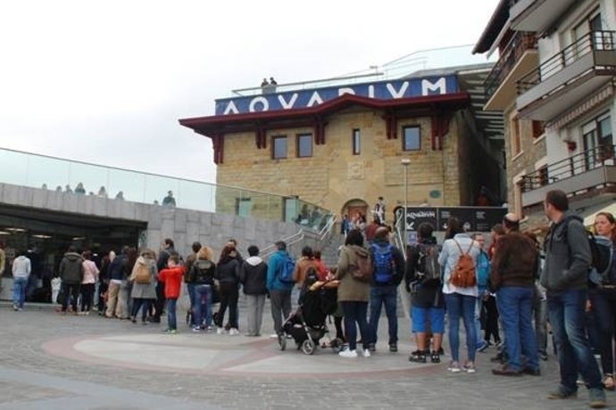 Visitas al Aquarium donostiarra