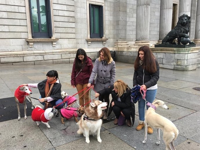 La iniciativa recomienda el collar en forma de arnés en 'Y'