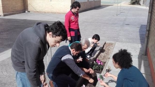 Actividades con niños con autismo en el instituto La Madraza