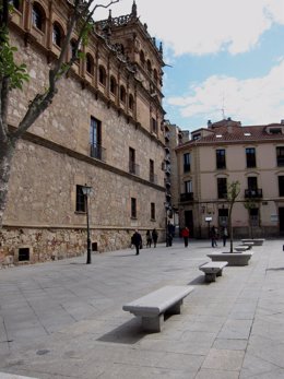 Palacio Monterrey de Salamanca.                    