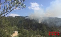 Un incendio quema una zona forestal de Tortosa (Tarragona)