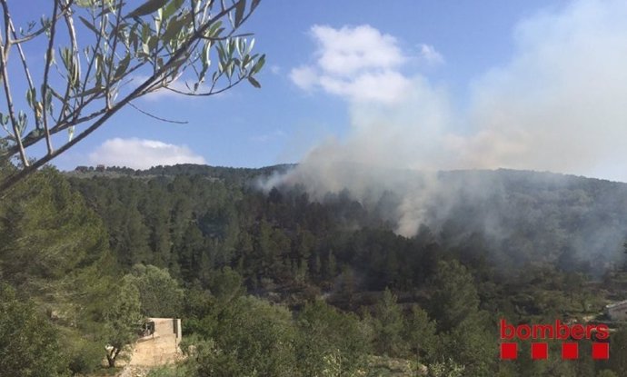 Incendio forestal en Tortosa (Tarragona)