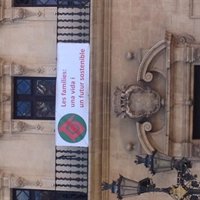 El FFB pide que el 15 de mayo se cuelgue la bandera de la Familia en el balcón de Cort