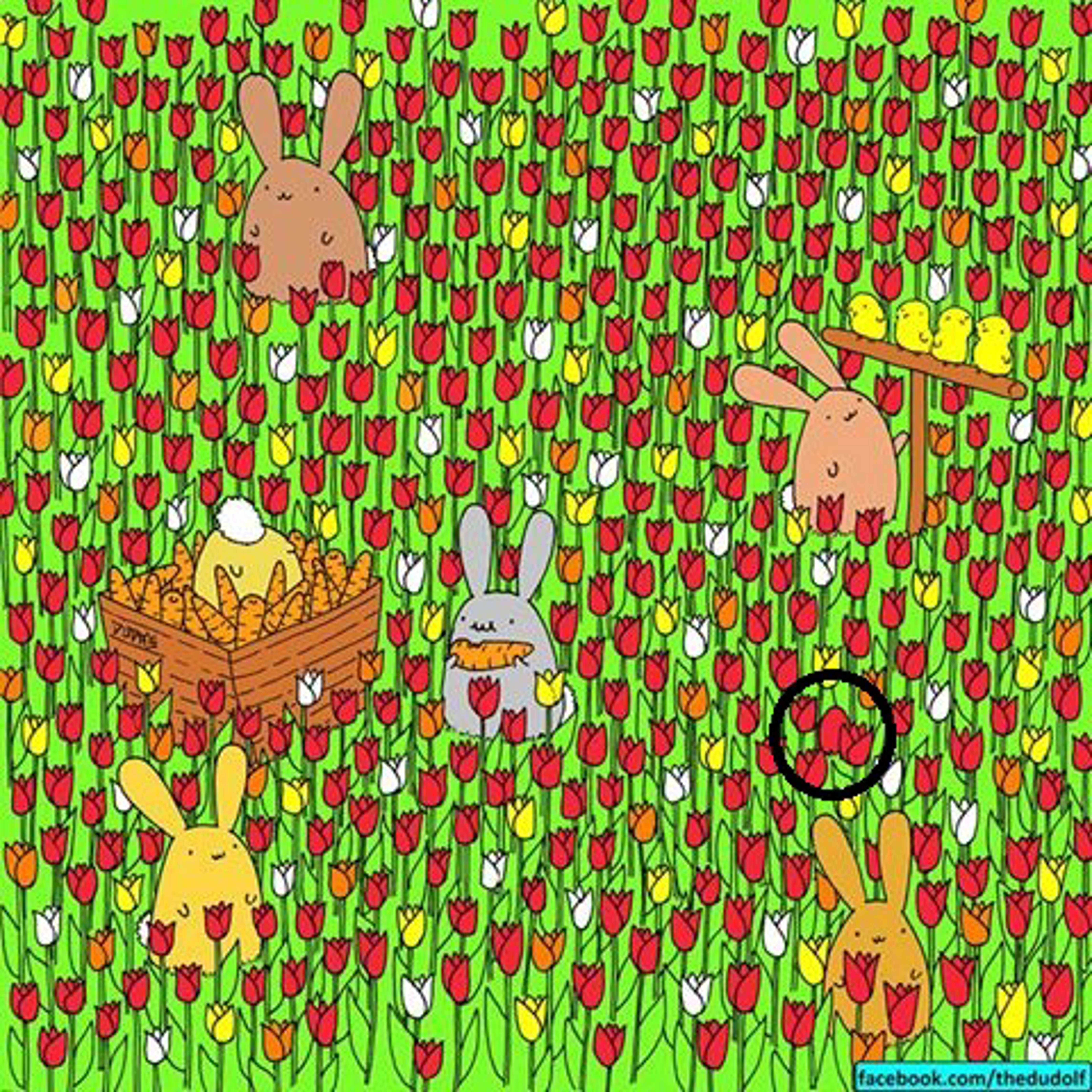 Reto huevo pascua solución