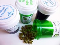 Buenos resultados del cannabis medicinal en un tipo grave epilepsia