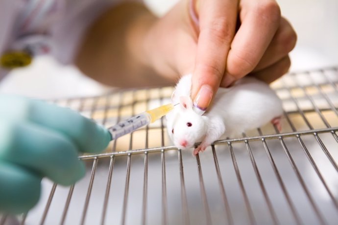 Vacuna, ratón, laboratorio