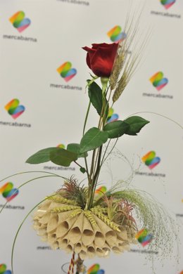 Rosa para Sant Jordi                  