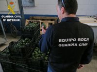 Un detenido y un investigado por comprar 400 kilos de aguacate de origen ilícito en Sagunto