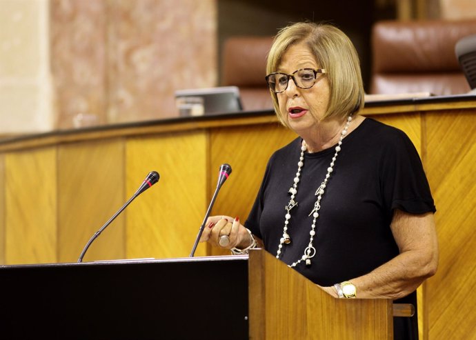 La consejera de Educación, Adelaida de la Calle, en el Pleno del Parlamento