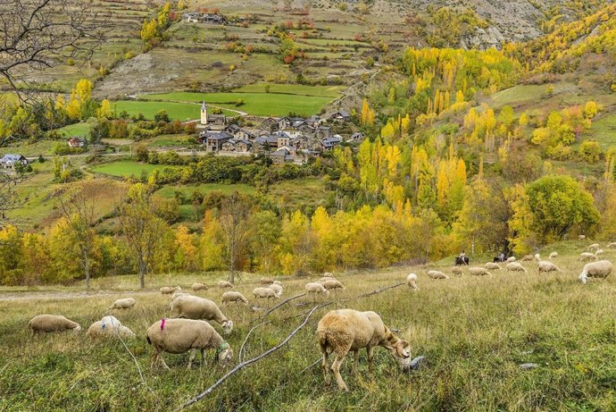 Esterri de Cardós, en el Parc Natural de l'Alt Pirineu