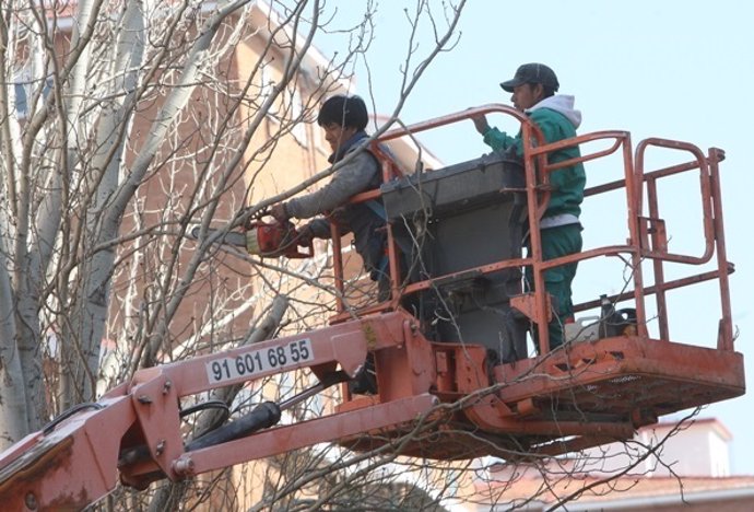 Unos trabajadores extranjeros