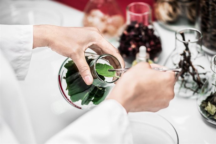 Laboratori per a l'elaboració de cremes/Clarins