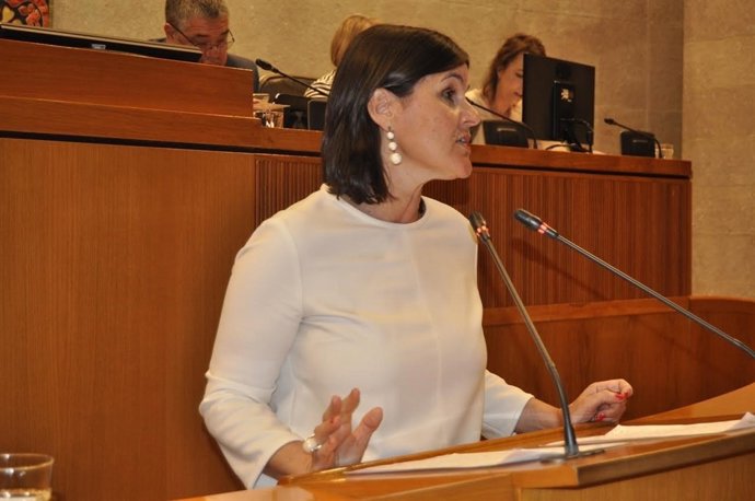 La diputada del PAR, Elena Allué.