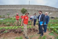 El Cabildo de Tenerife destina 300.000 euros para preparar a personas desempleadas en agricultura ecológica