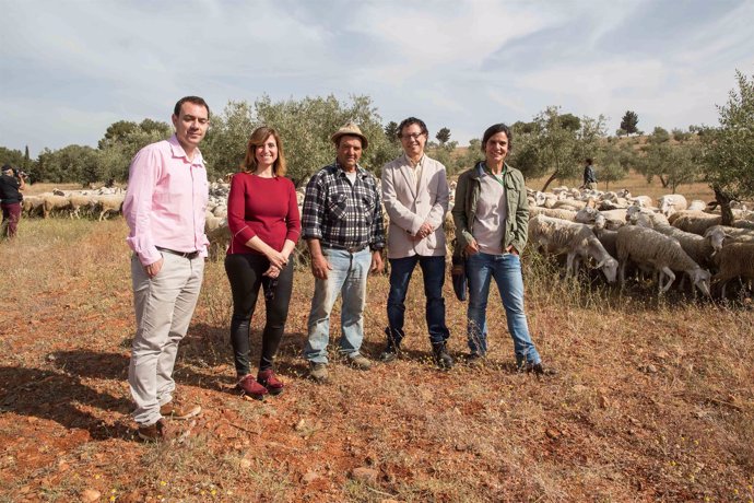 Vuelta de las labores de pastoreo a la Dehesa del Generalife