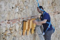 Instalan refugios para proteger a los murciélagos del río Turia