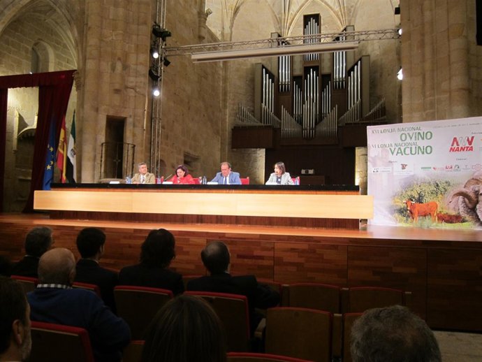 Lonja de ovino y vacuno que se celebra en Cáceres                        