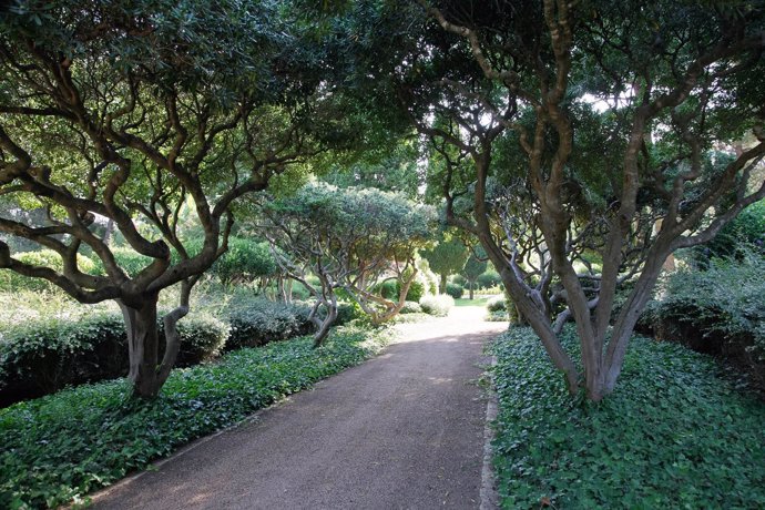 Detalle de los caminos de los Jardines de Marivent en Palma