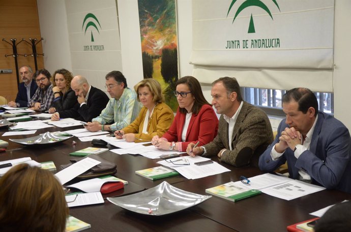 Reunión del Consejo Provincial de Drogodependencias de Jaén.