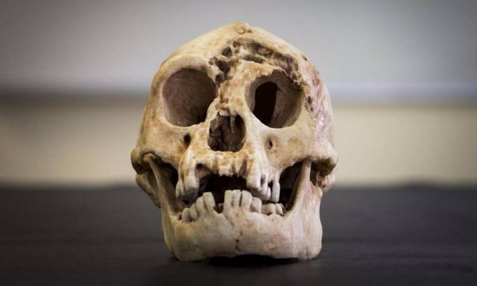 Cráneo reconstruido de Homo florisiensis