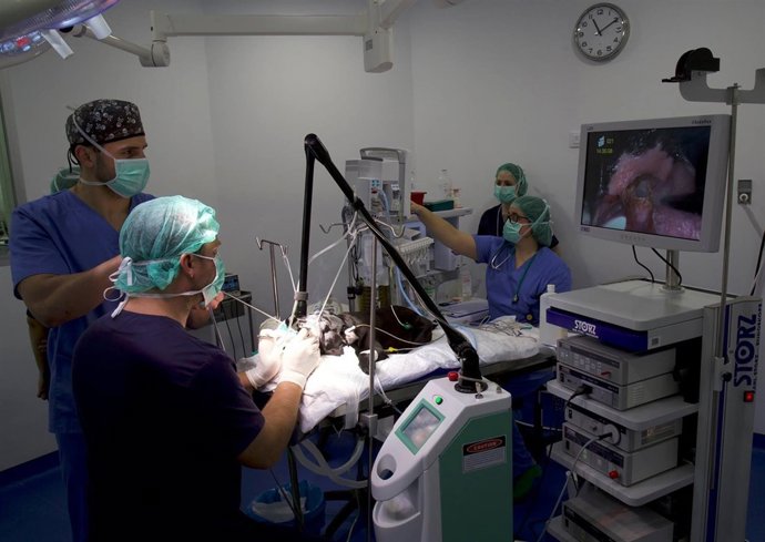 Vídeo de la noticia