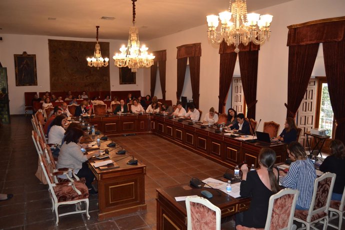 Reunión de Diputación de Córdoba con alcaldes y concejales de Igualdad