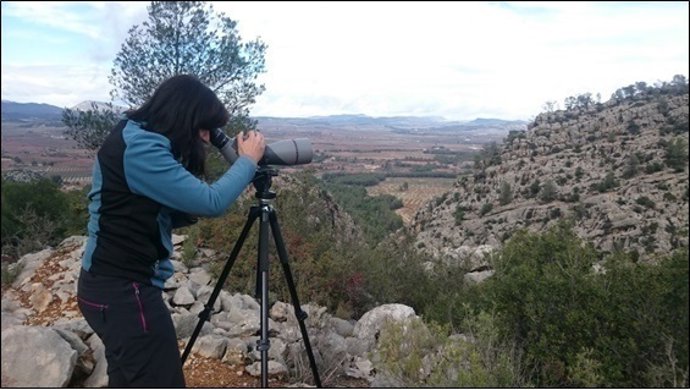Seguimiento de águilas