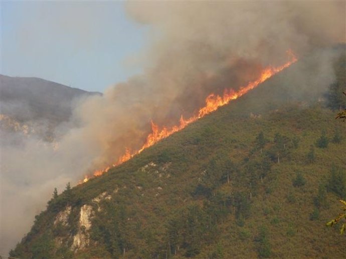 Incendio forestal en Asturias. 