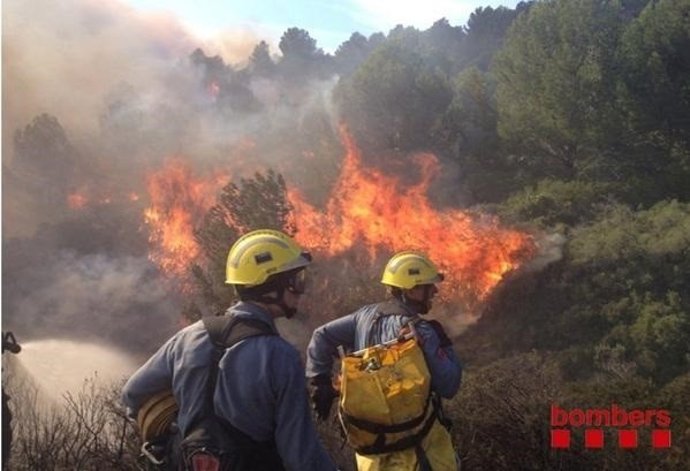 Bombers treballen en l'incendi de Roses