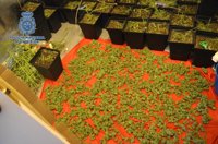 Cuatro detenidos tras desmantelar Policía Nacional un punto de venta de heroína y cocaína en Albacete