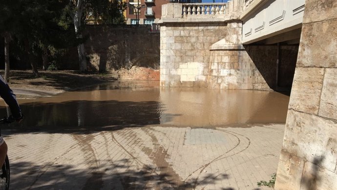 La inundación llega hasta el parque Gulliver