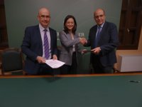 La Junta da luz verde para la reanudación de las obras del Palacio de Congresos de Córdoba