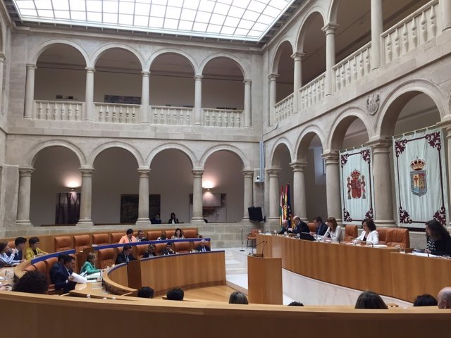 Pleno del Parlamento de La Rioja