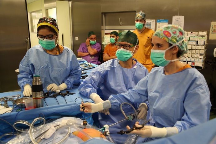 Imagen de una nefrectomía en el Hospital Maternoinfantil Vall d'Hebron de Barcel