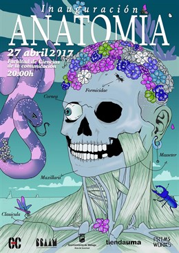 Anatomía galería central uma universidad de málaga